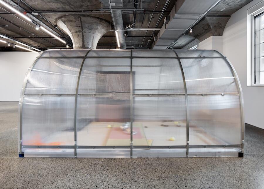 Lotus L. Kang, Already, installation view