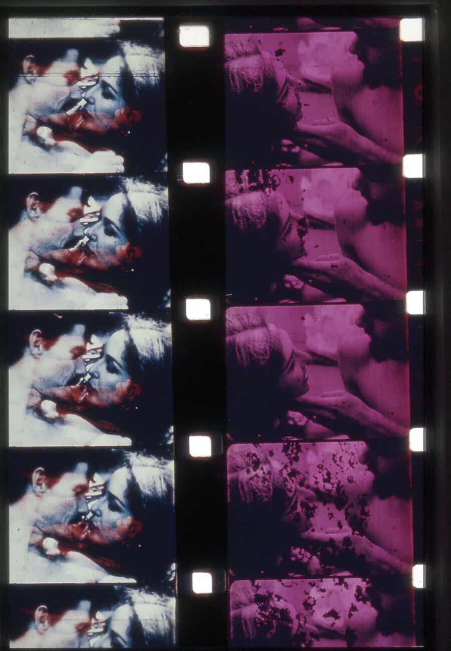 carolee-schnneemann-fuses