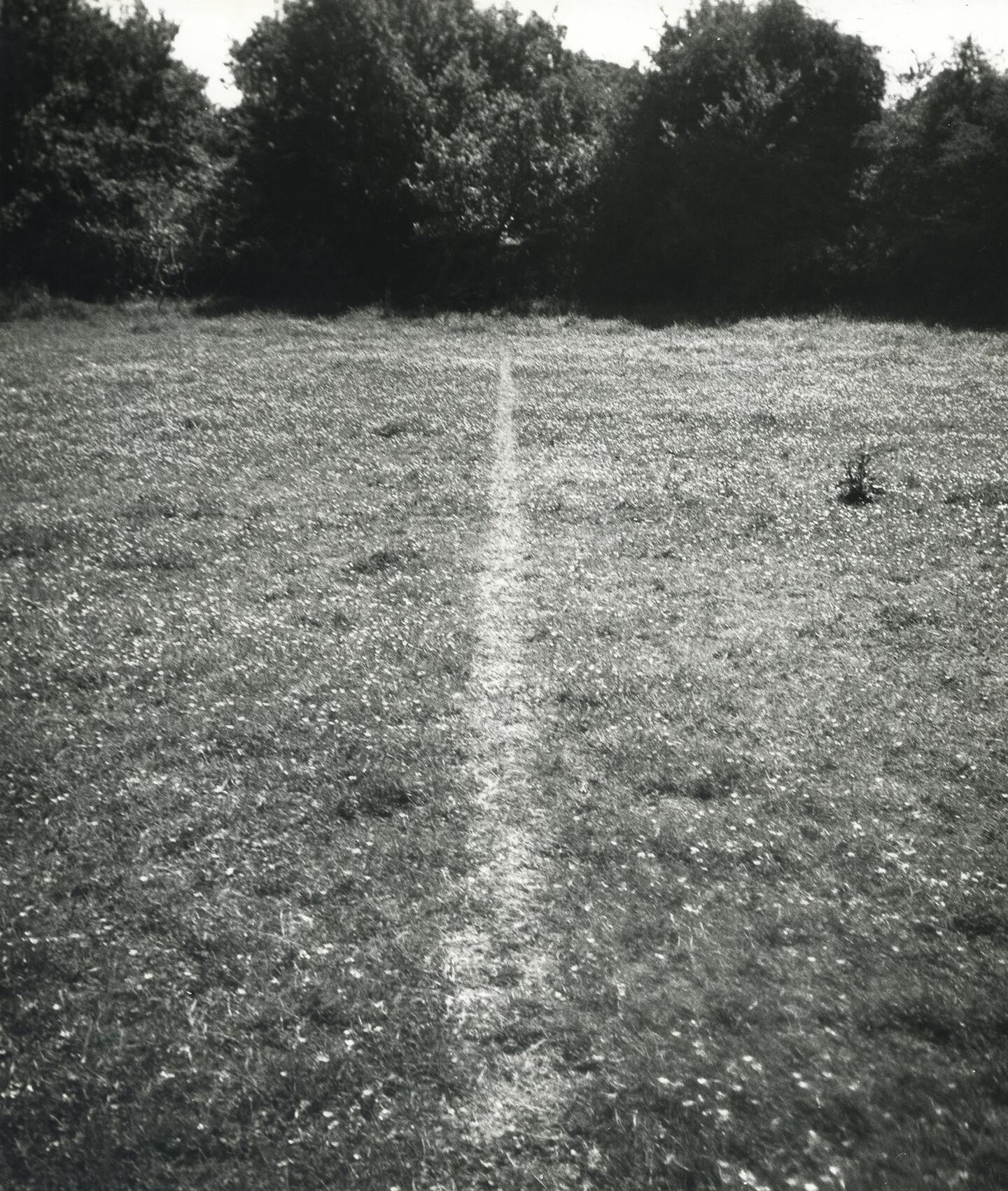 A Line Made By Walking 1967 © Richard Long. All Rights Reserved, DACS/Artimage. Photo: Richard Long