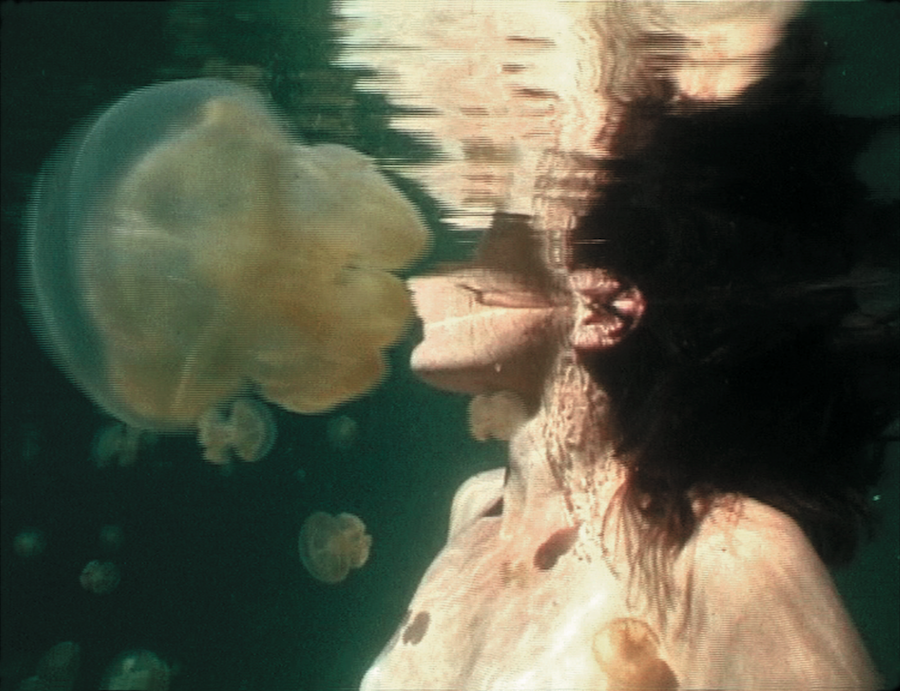 Jellyfish Lake, 2002, dvd 6 minutes, AP1 from an edition of 4 + 2APDC13902, courtesy of the Artist and Kerlin Gallery