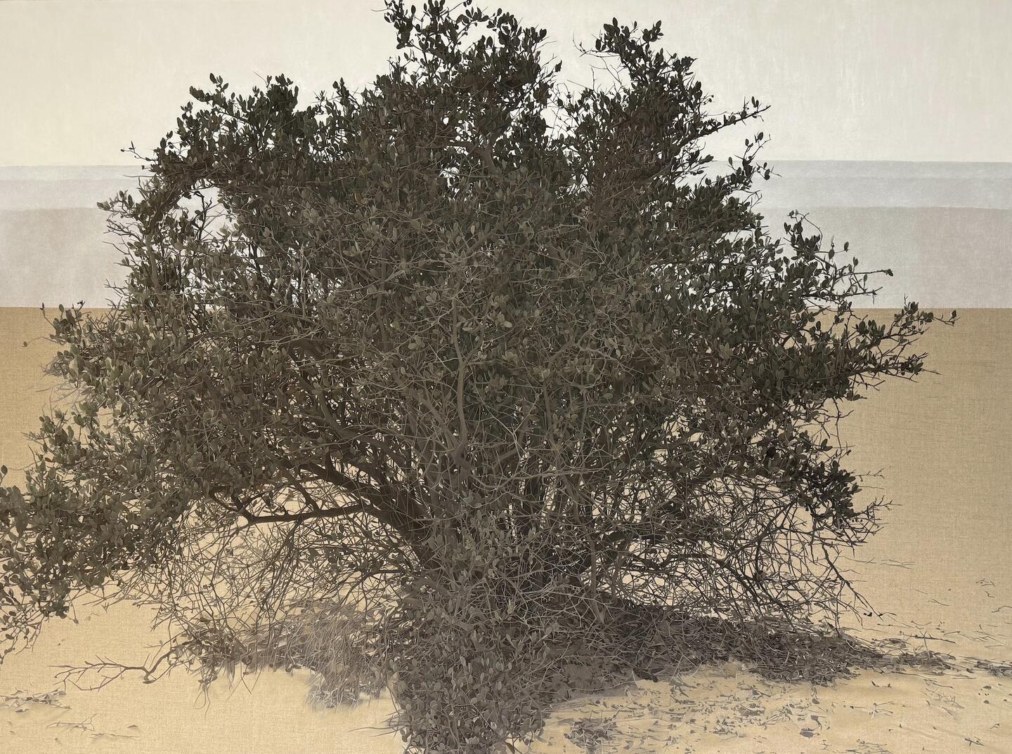 Ibrahim El Dessouki, The Olive Tree 2, 2025. Courtesy of Hafez Gallery. Photography by Boulos Isaac