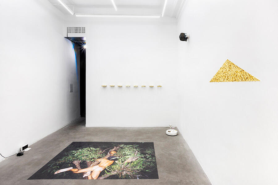 Sex in Space exhibition view