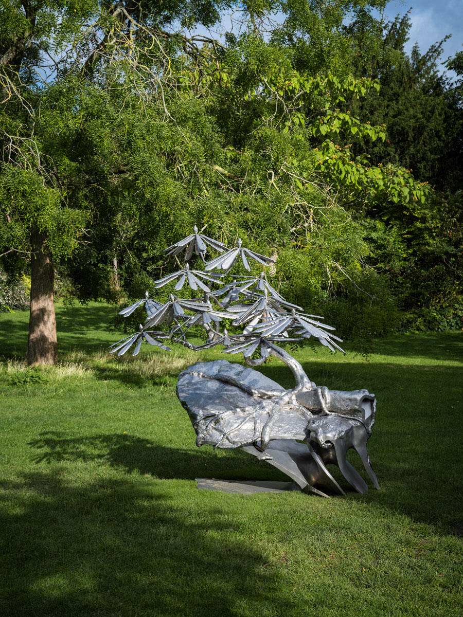 Timur Si-Qin, Last of the Wild and Free (Rhododendron calophytum), 2025 