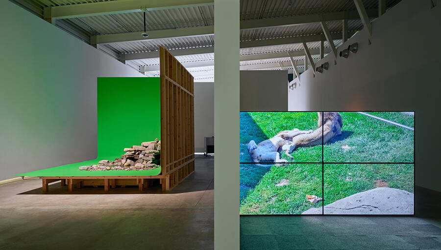 Abbas-Akhavan-One-Hundred-Years-2025