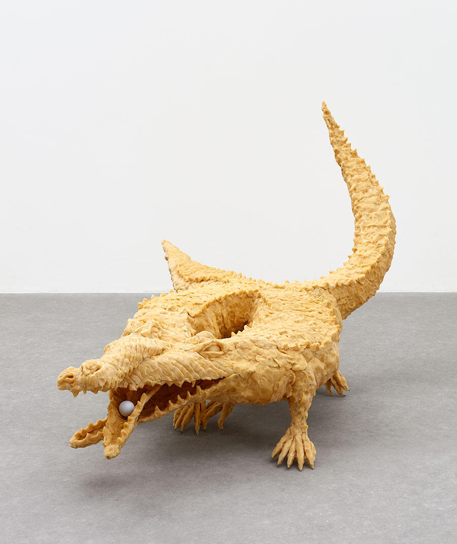 bekhbaatar-enkhtur-coccodrilli-2025