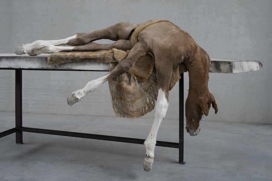 Berlinde de Bruyckere