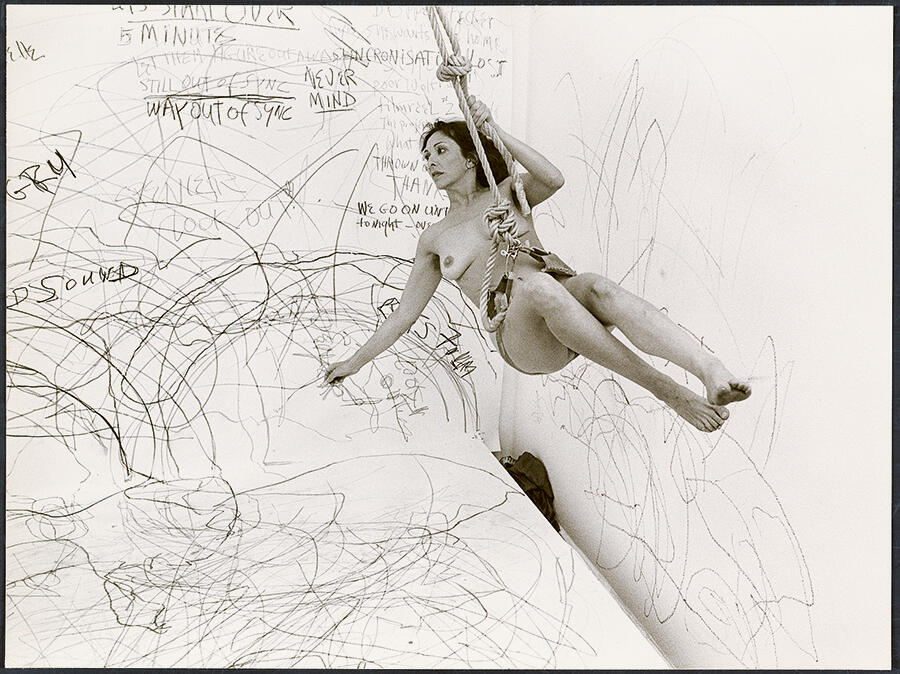 Carolee Schneemann