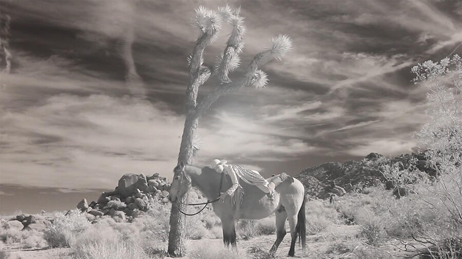 Dana Sherwood, Other Dessert Landscapes, 2022, High Desert Test Sites