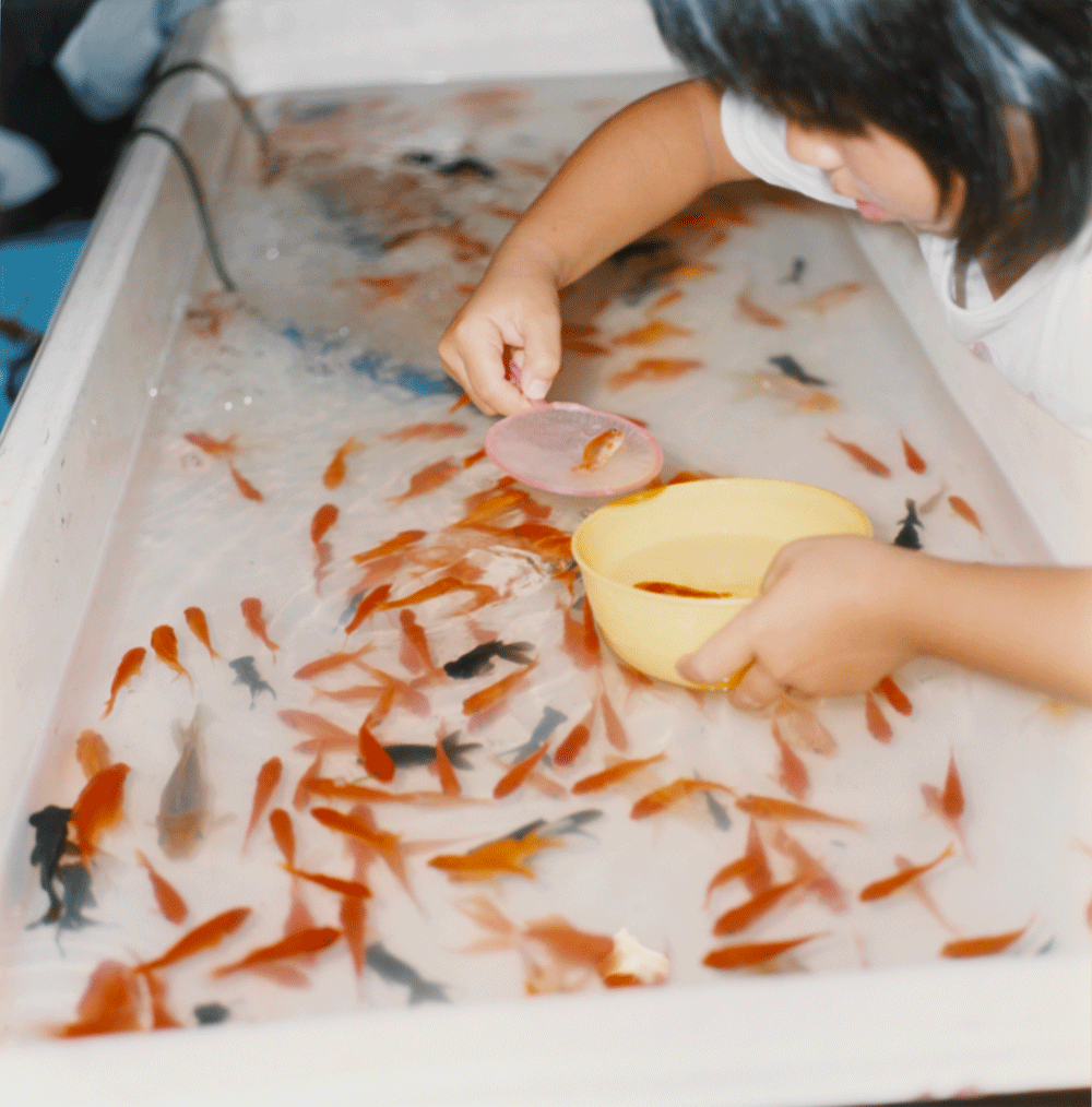 Rinko Kawauchi Frieze