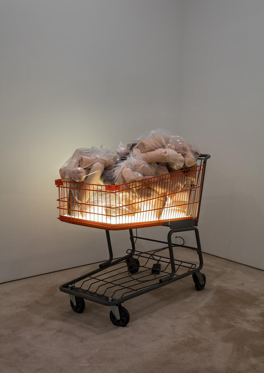 josh-kline-installation-shopping-trolley