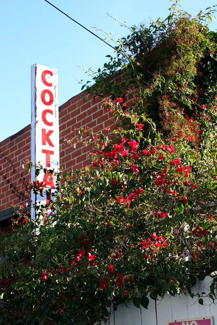 mandrake-cocktail-sign