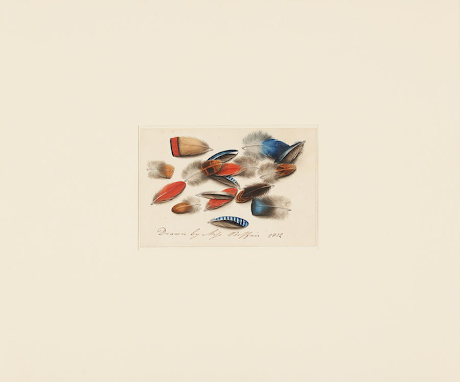 Sarah Biffin, A Study of Feathers, 1812. Watercolour on paper, 10 × 15 cm. Courtesy: Philip Mould and Company