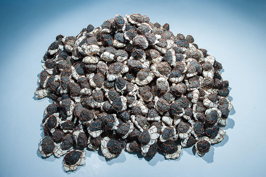 mohamed-ahmed-ibrahim-fresh-and-salt-2015