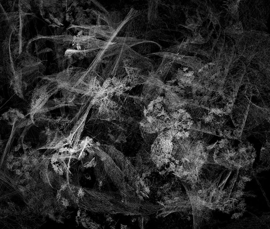 Moon-Kyungwon-Jeon-Joonho-Art-Week-Tokyo-2025