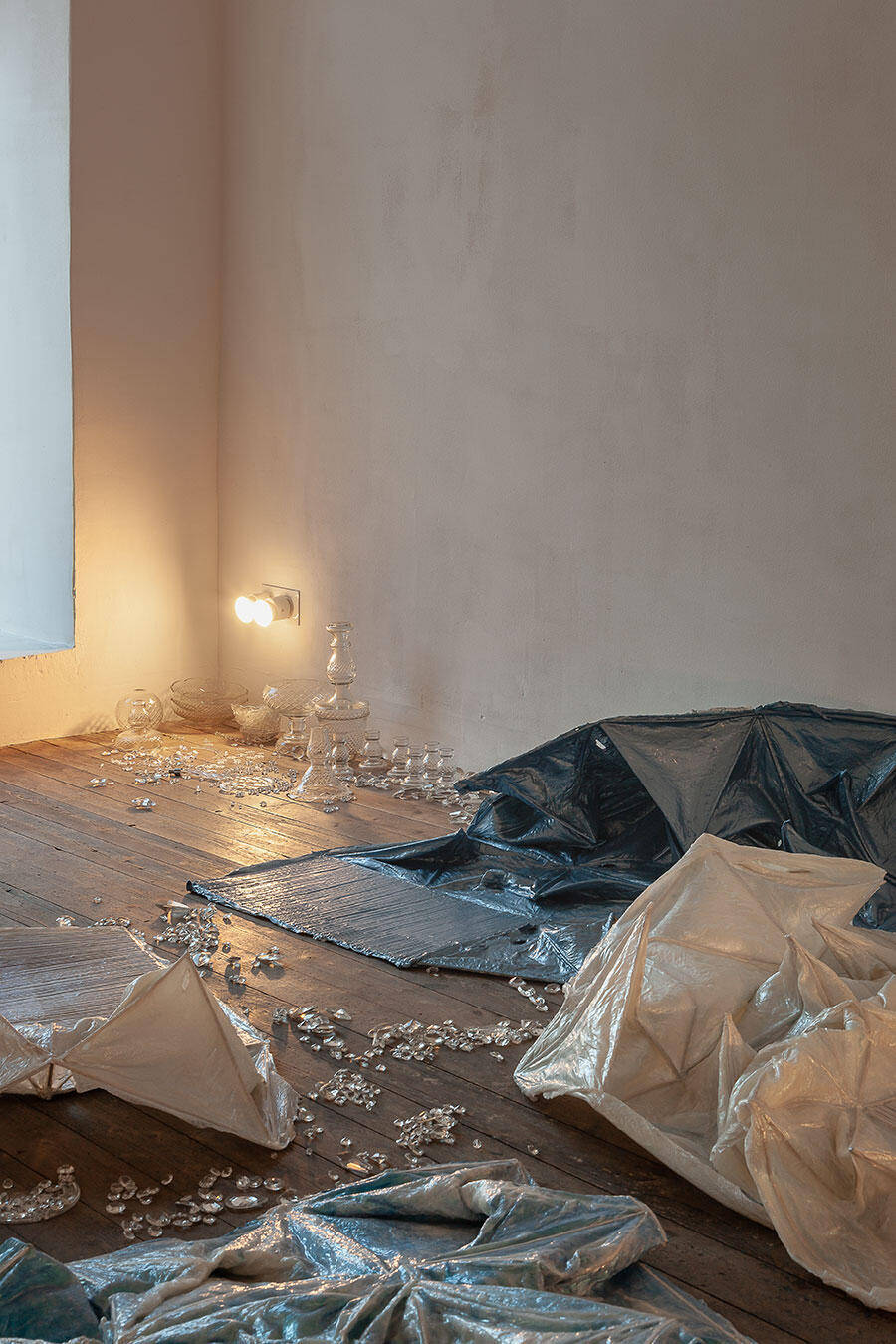 nancy-lupo-disko-2025