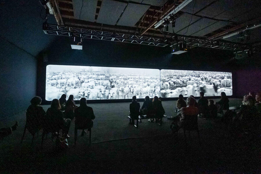 An installation shot of a massive two-channel screen, silhouetted audience members in the foreground