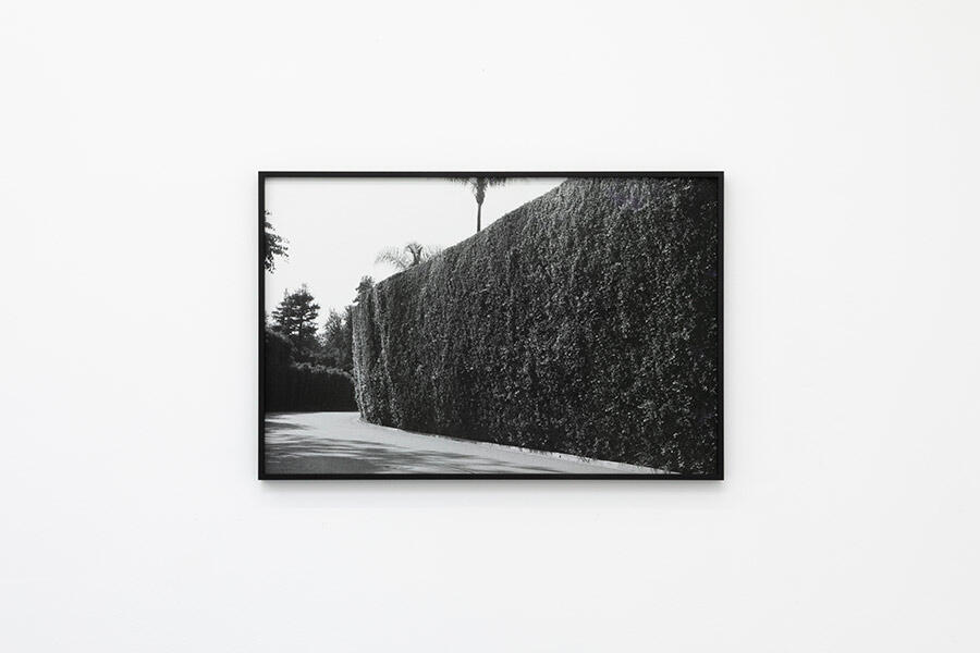 sophie-kovel-metes-and-bounds-2025