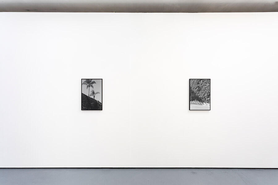 sophie-kovel-metes-and-bounds-2025