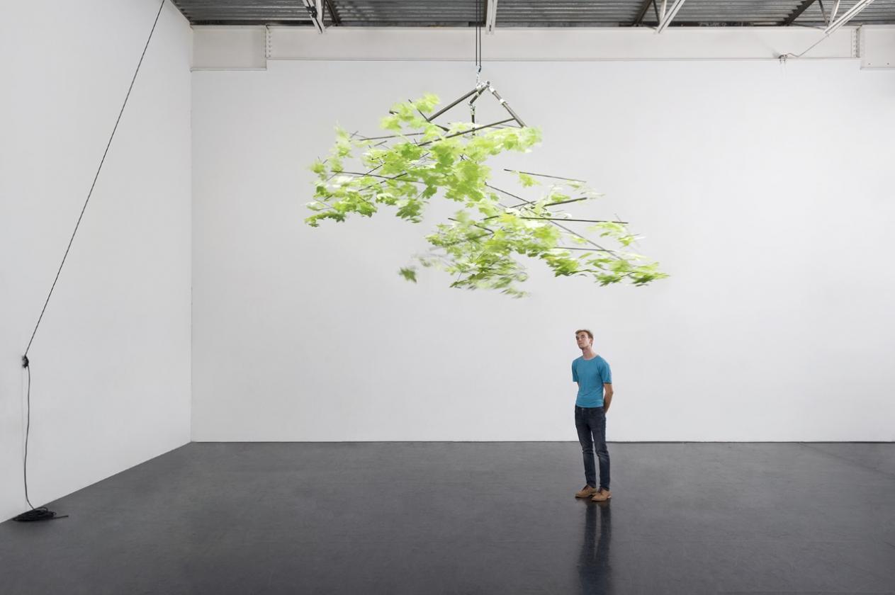 Sharon Levy Canopy Grand Central Art Center Galleries Frieze