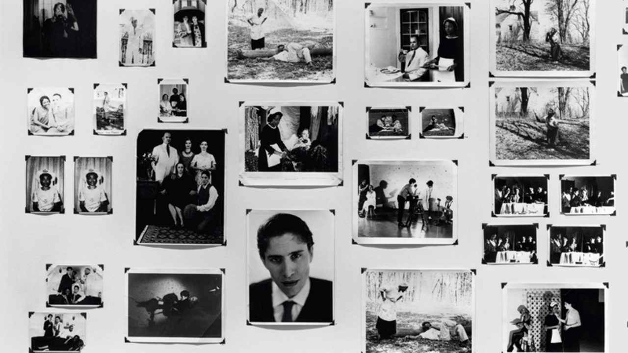 Zoe Leonard, Survey Frieze